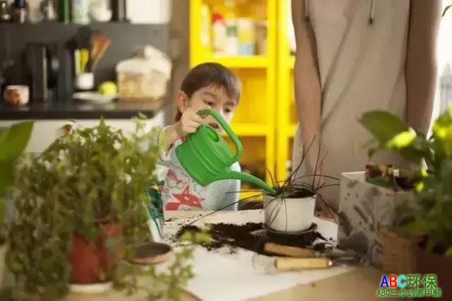 这些除甲醛的所谓的小妙招，你中招了没？