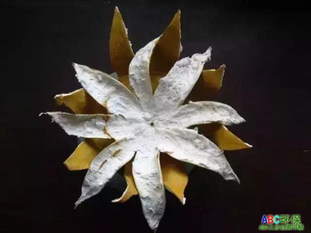 这些除甲醛的所谓的小妙招，你中招了没？